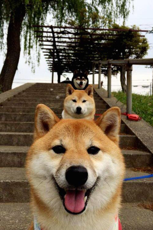 评分拉满的阿圭罗与闪电战的利物浦，当个人英雄主义遭遇整体性碾压